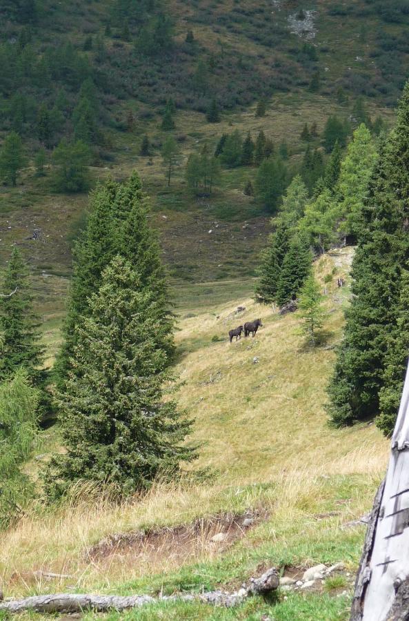 Ferienhaeuser Troester Bad Kleinkirchheim Eksteriør billede